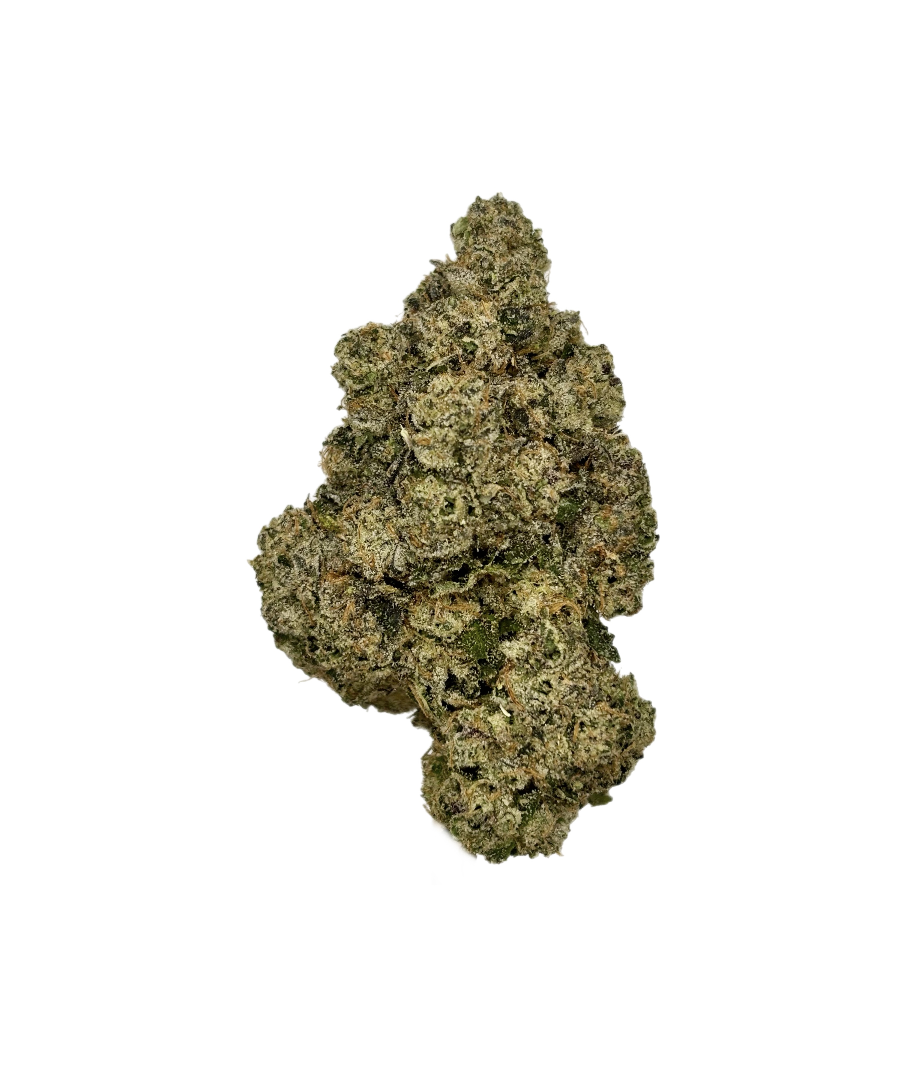 Glo | Ztupid #8 | Bulk Flower | Platinum Tier