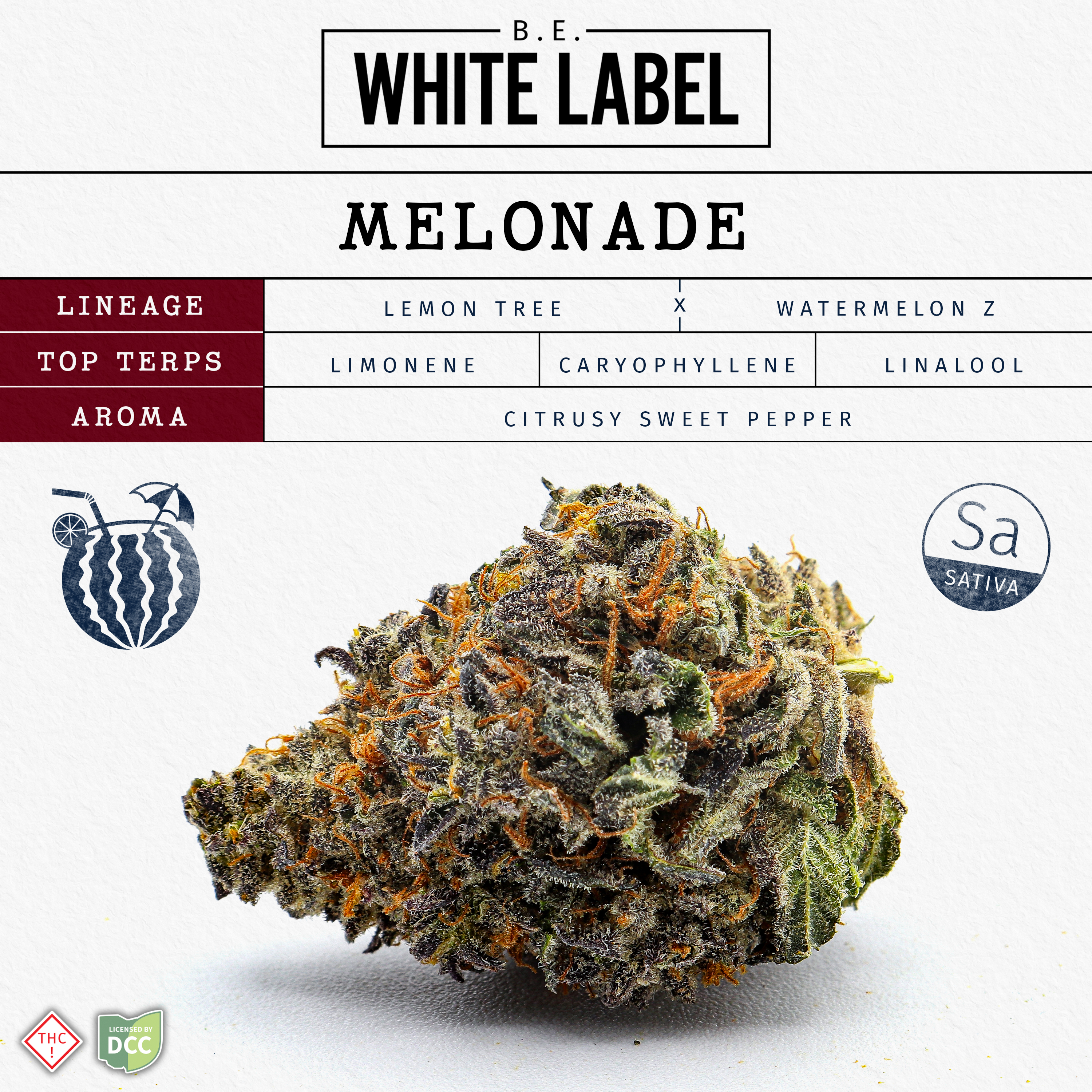 Melonade [28.3g]