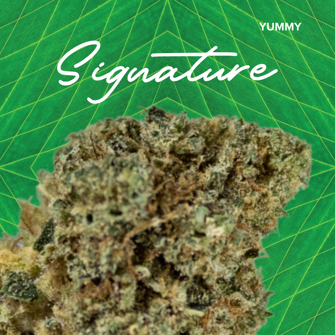 Signature Yum.
