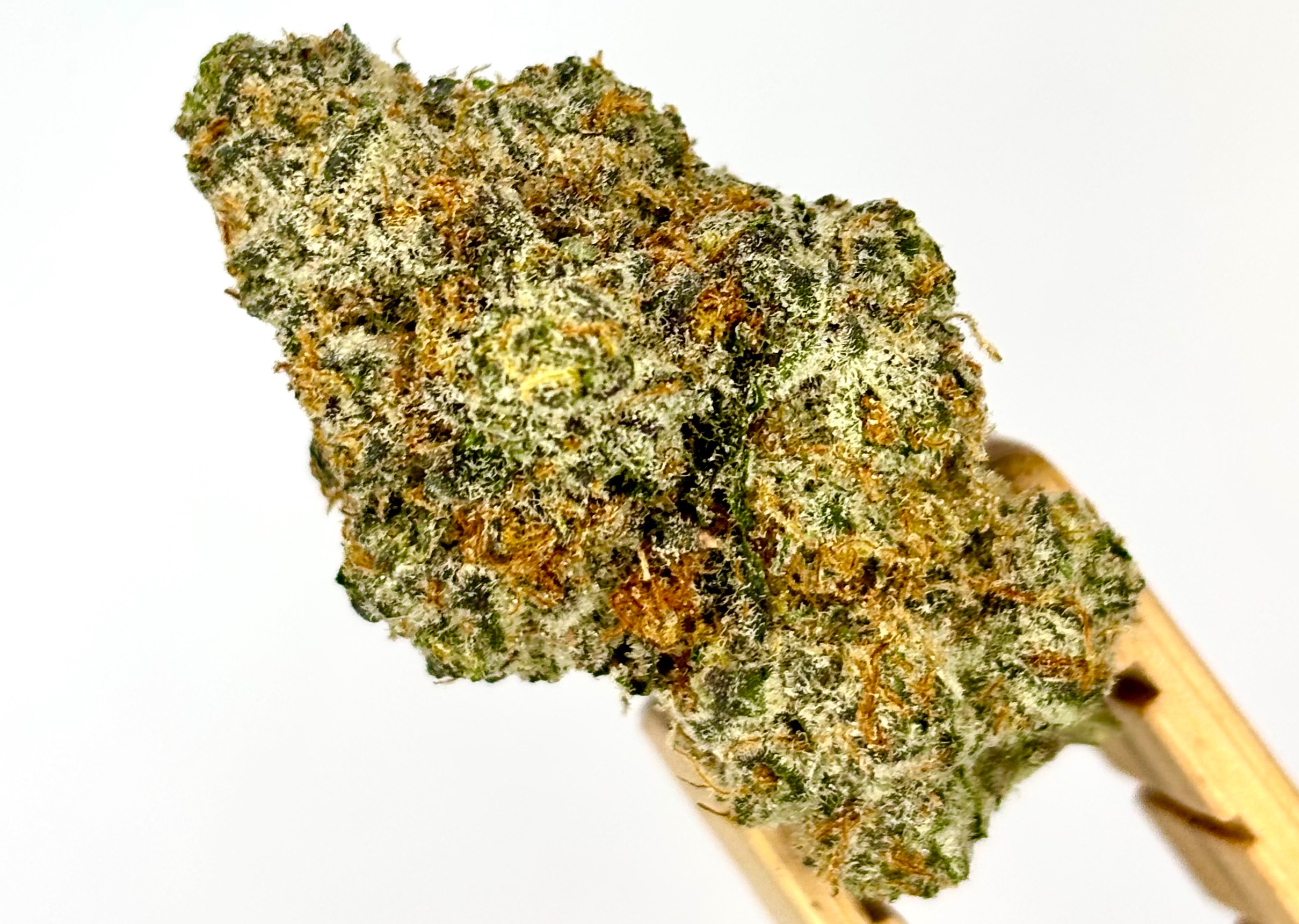 Six Labs | Curveball | Bulk Flower | Purple Tier