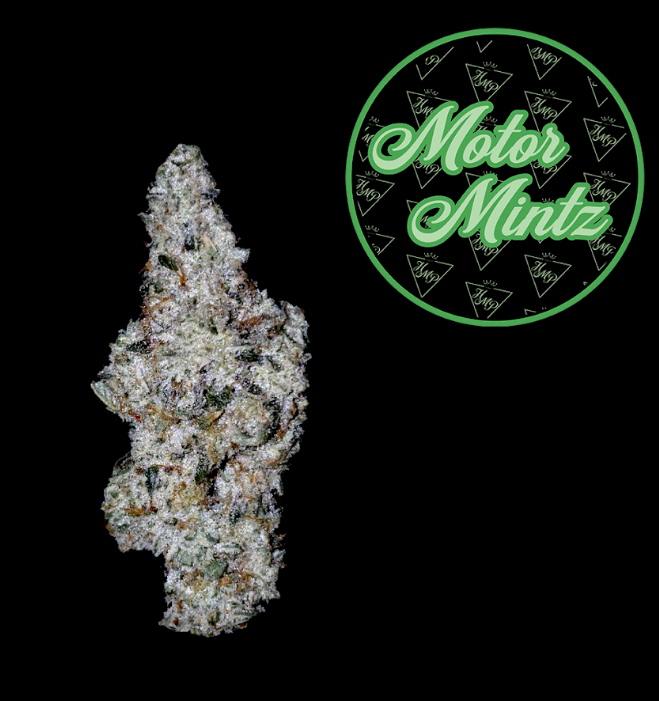 Motor Mintz | 3.5g