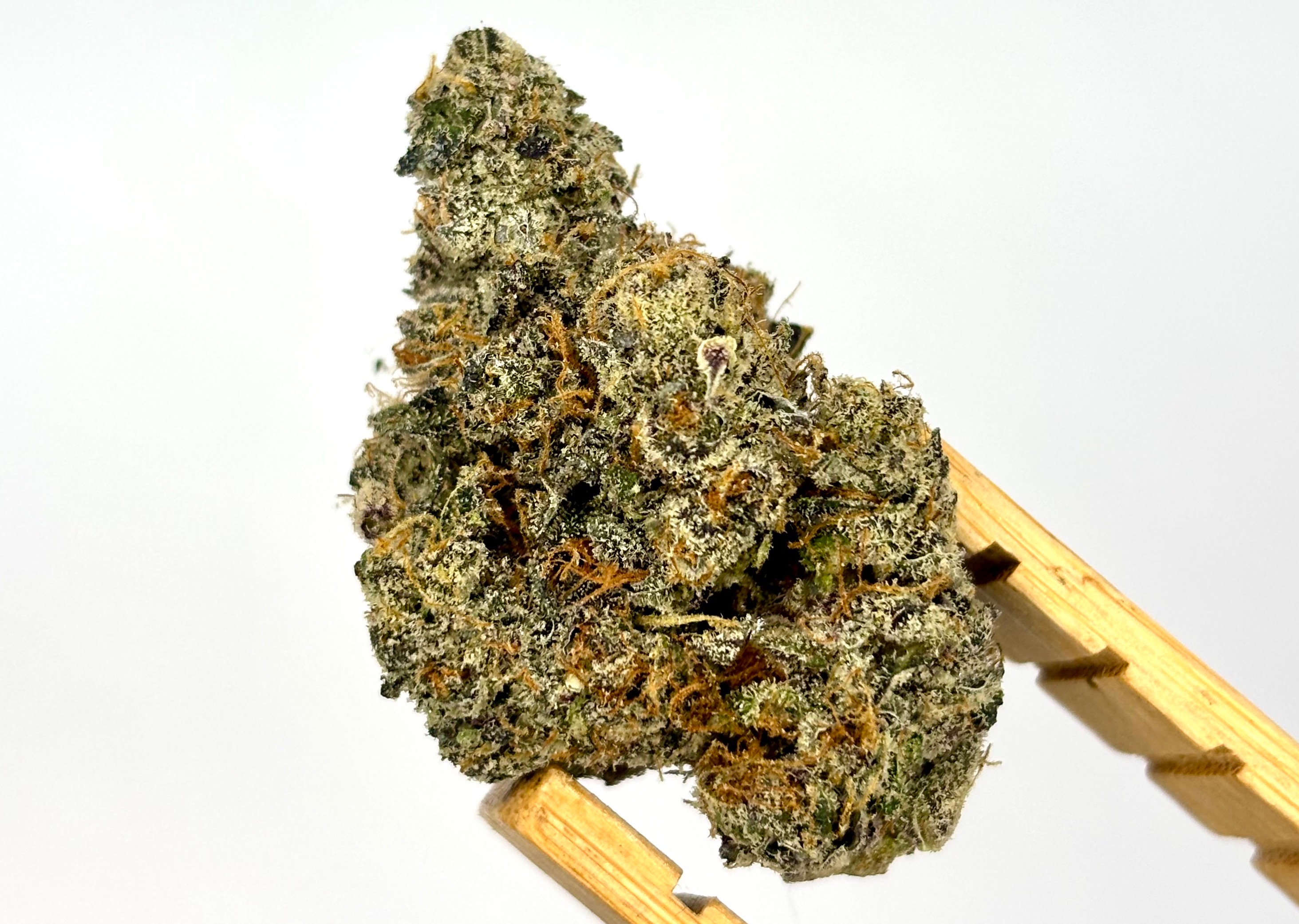 Trix Sherb Bulk Flower Purple