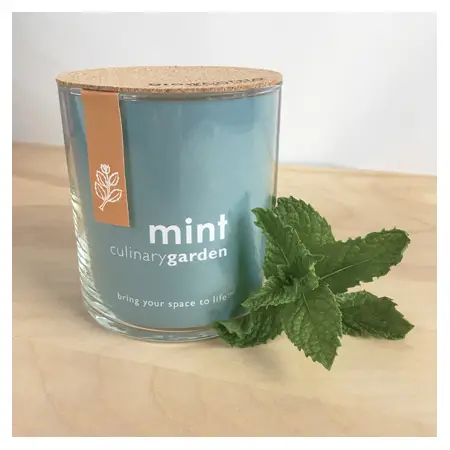 Creations Essential Mint Culinary Garden