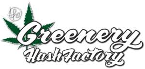 Lebanese Pressed Buttermilk Biscuit