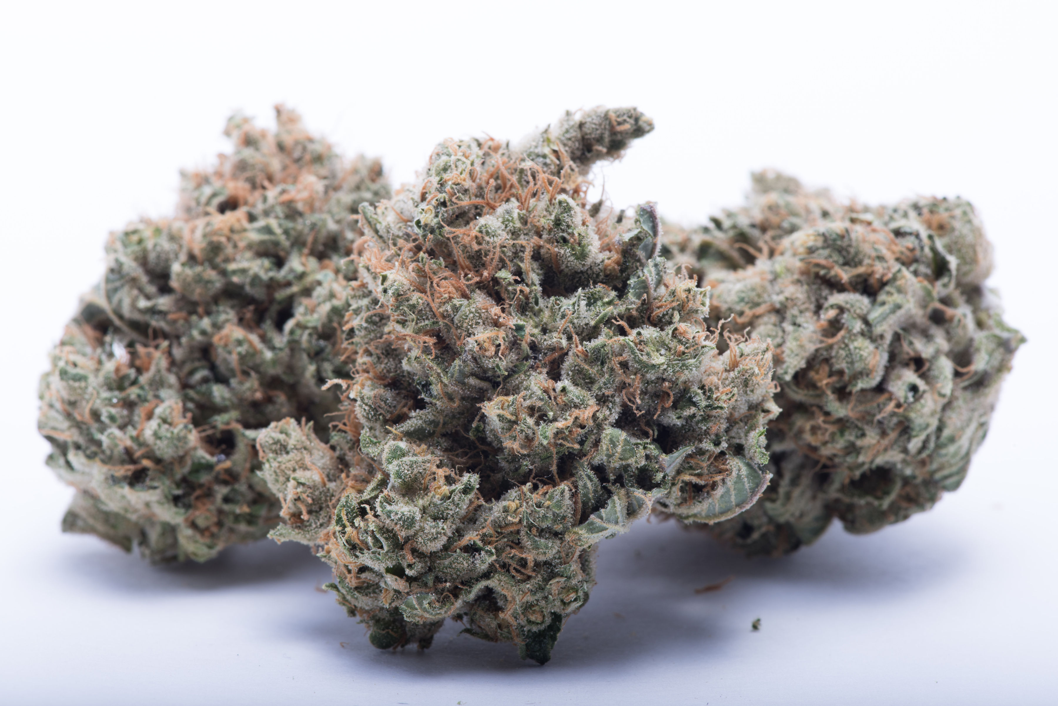 Durban Poison Deli Flower