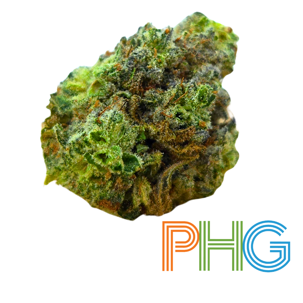 Tangerine Haze Flower