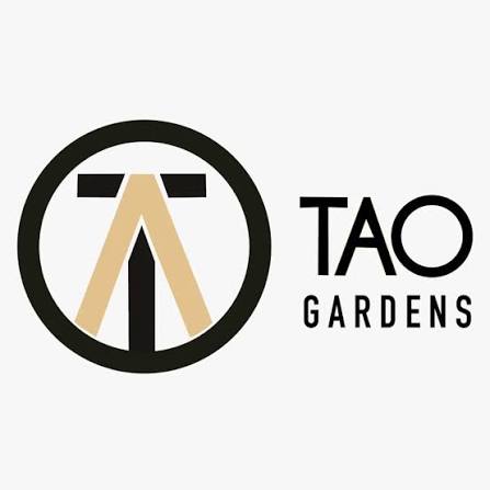 Tao Gardens | Strawberry Kiwi | 2pk Lion's Mane & Rosin Gummy 100mg
