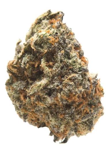 Scotch & Soda 14g