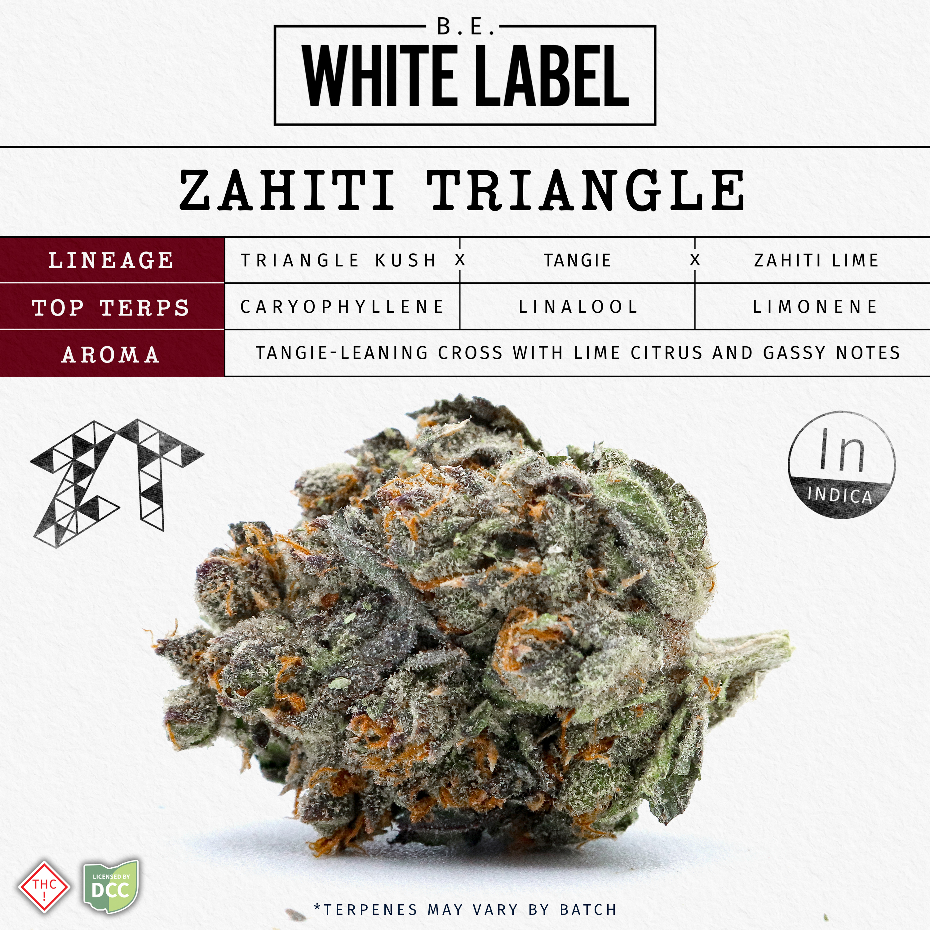 Zahiti Triangle [28.3g]