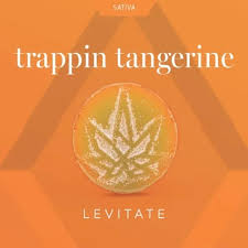 LEVITATE | TRAPPIN TANGERINE | SATIVA | GUMMIES | 200MG | REC