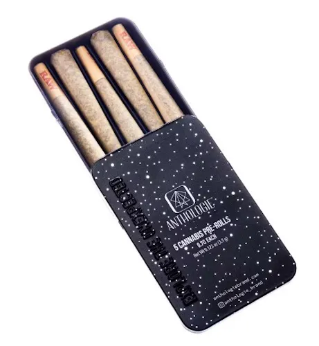 Glitter Bomb | 5pk | 2.5g