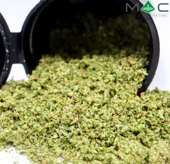 Musty Buffalo Ready to Roll