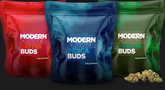 Modern Flower Thundercracker (H) Flower 3.5g