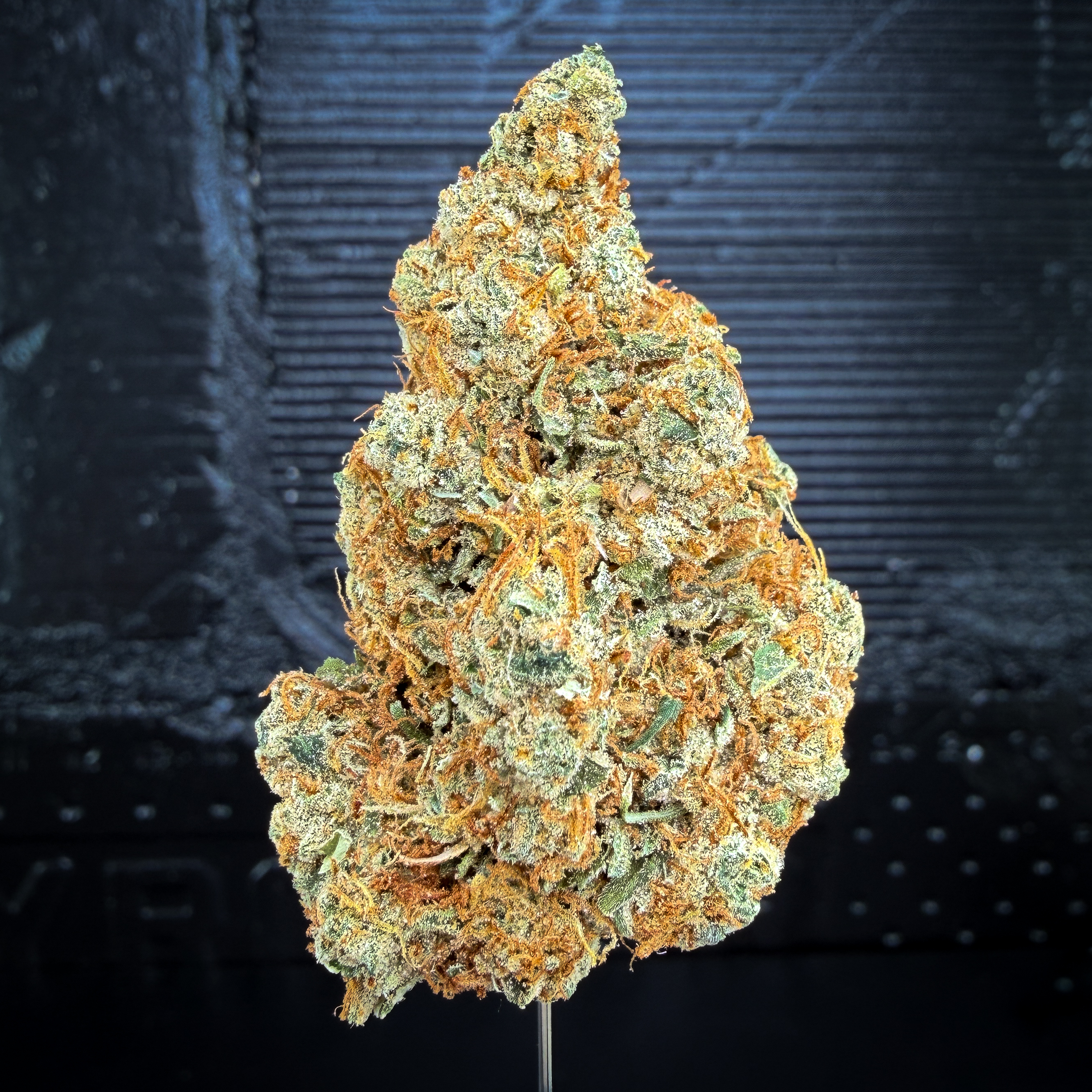 '98 Super Silver Haze