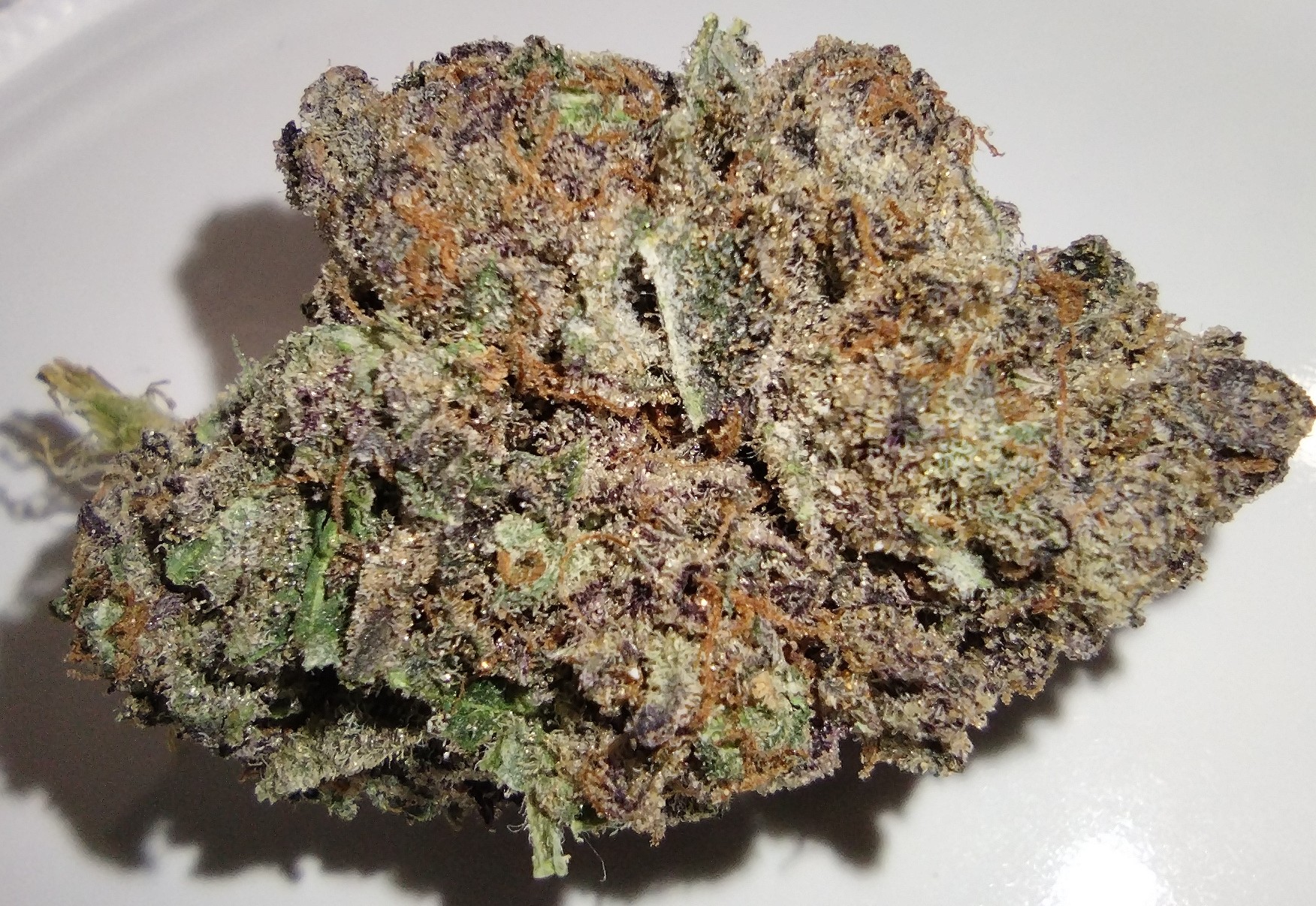 Black Cherry - 3.5g - Flower
