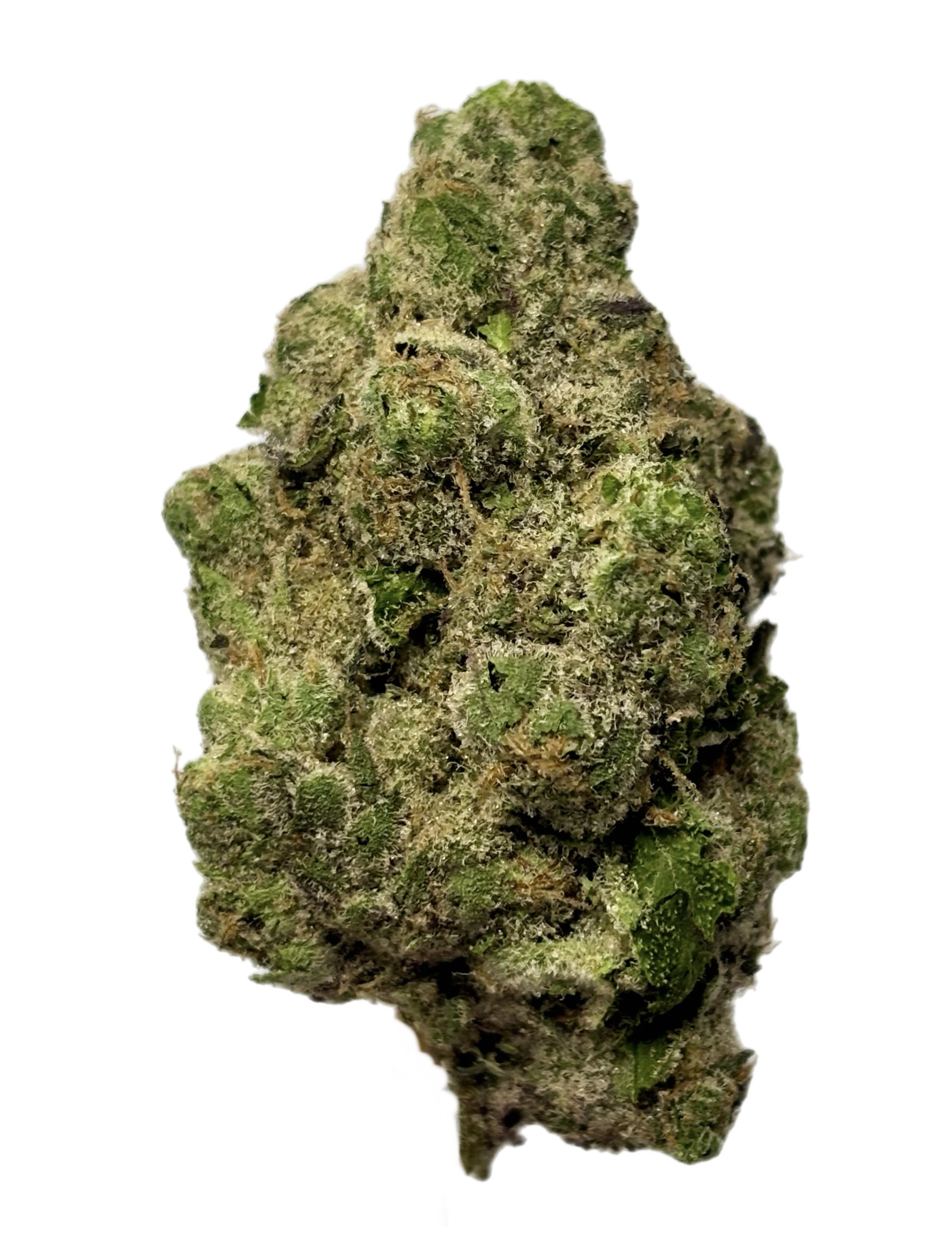 Northwoods | Momochi | Bulk Flower | Purple Tier