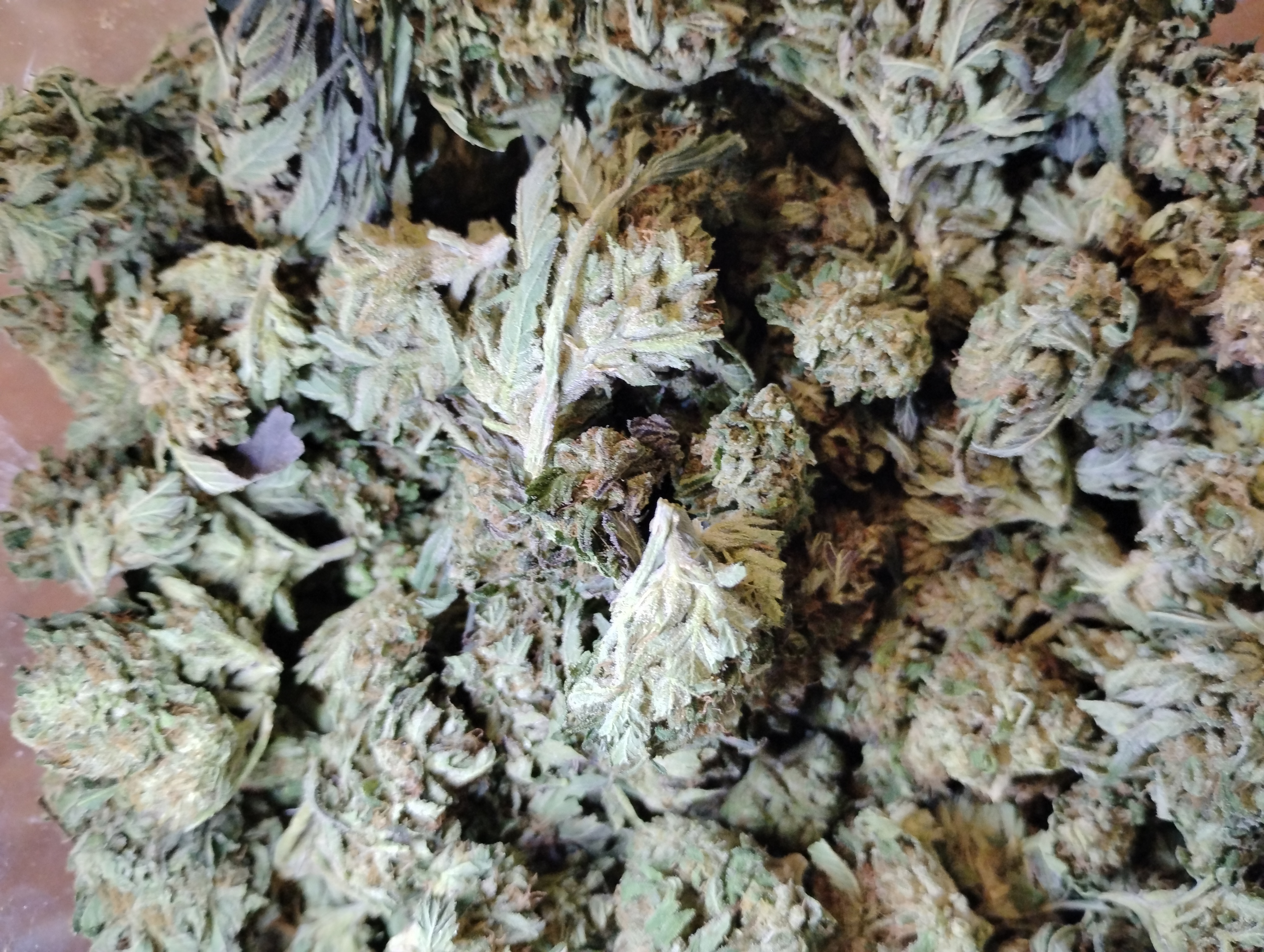 Bulk Flower - Mr. Frosty - Crushed Snow (I) - 28g in Gallup
