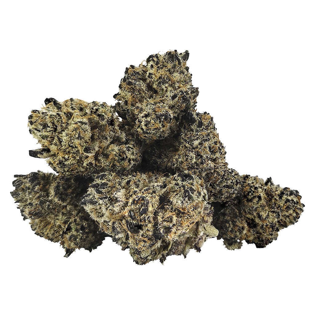 DEALR - Rainbow Fuego (Rainbow Sherbet x Rntz)  - Sativa