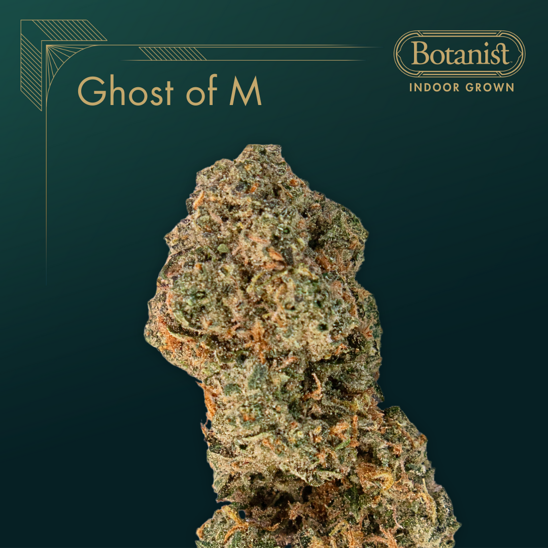The Botanist | Ghost of M-GOM | Indica | Flower | 3.5g
