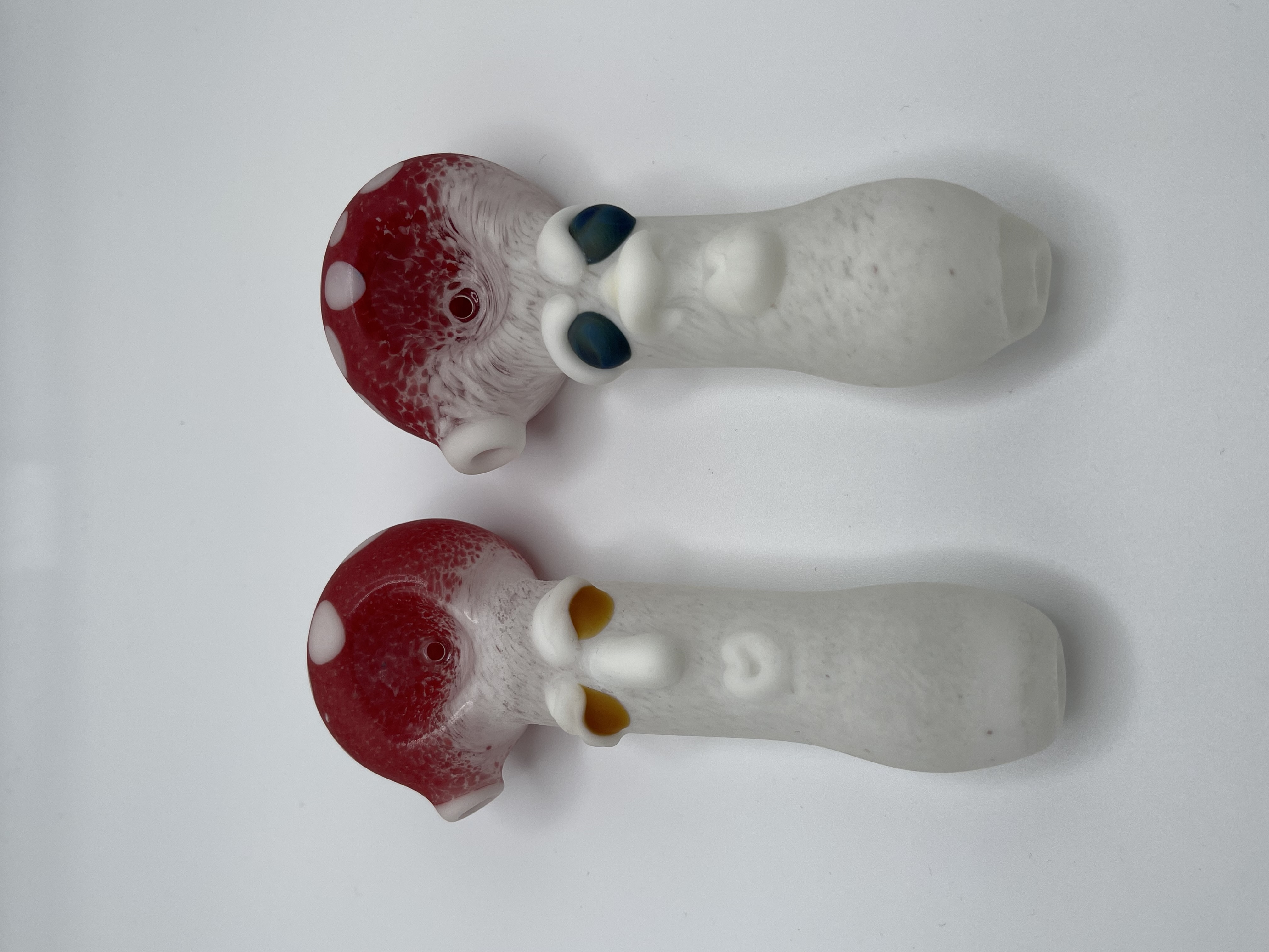 Mr Mushroom Color