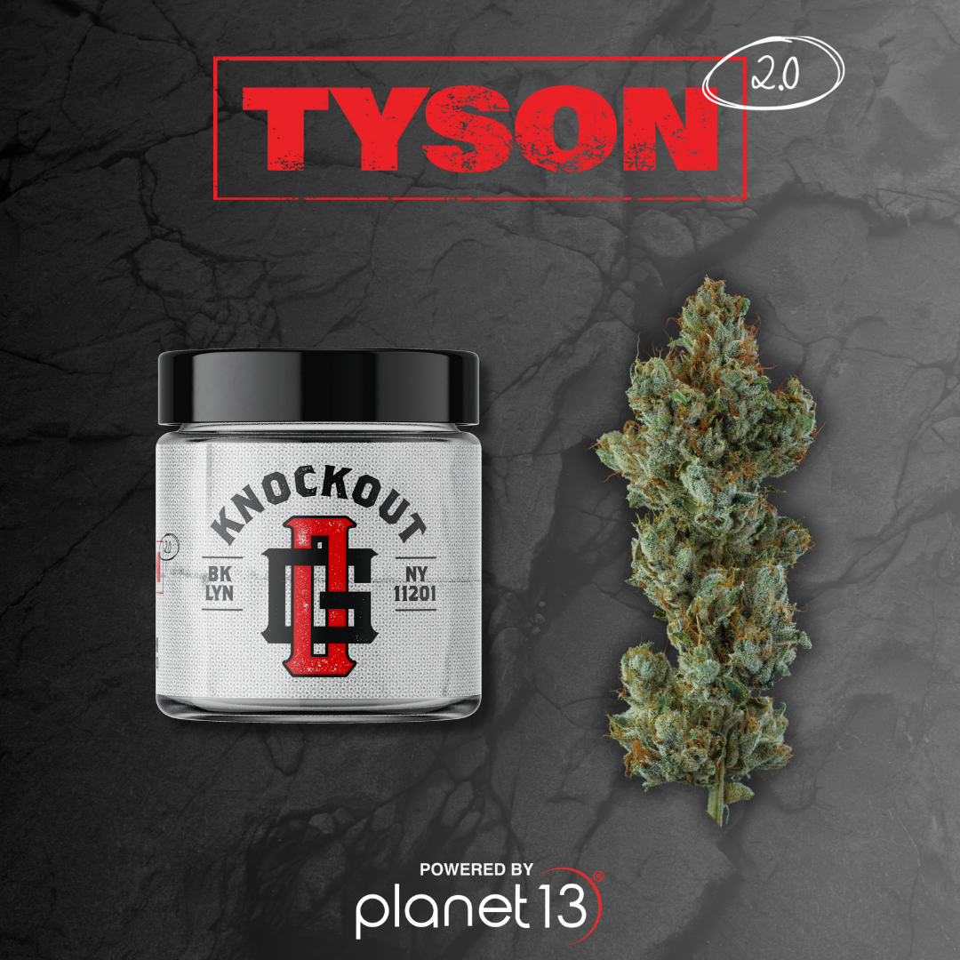 MIKE TYSON 2-DISC KNOCKOUT EDITION 上414 Tyson 2.0 Knockout OG 3.5g Prepack | Planet 13 Las Vegas