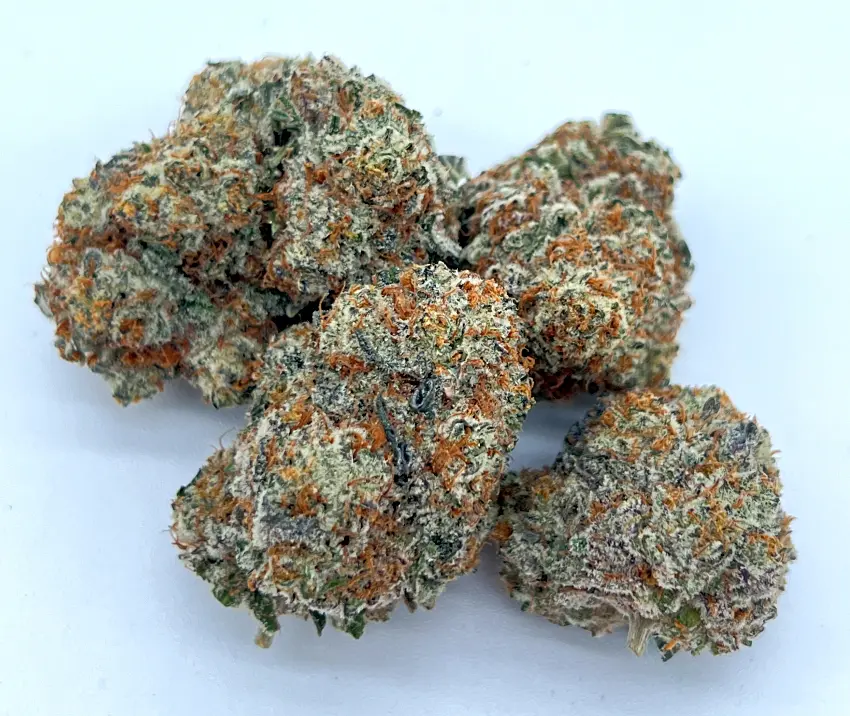 Silver Lake | Bud | Gary Payton (H)