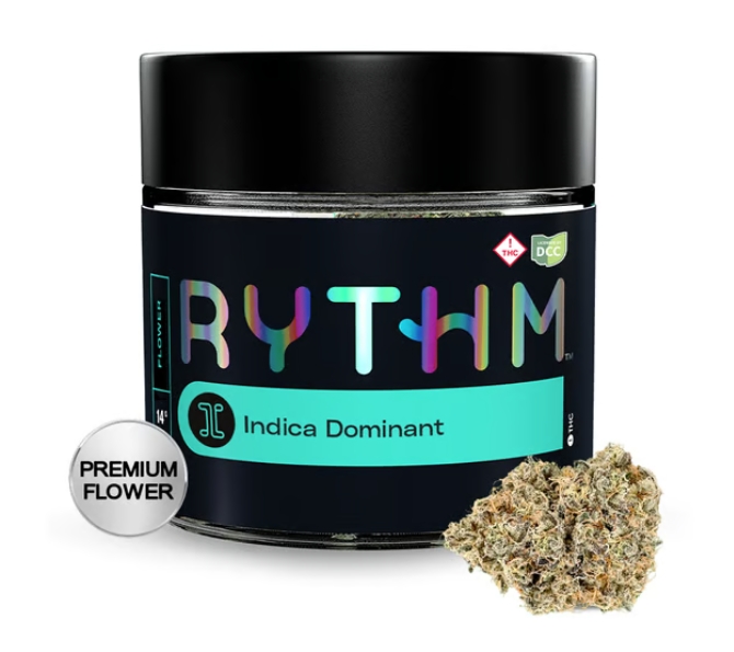 Rythm Premium Brownie Scout