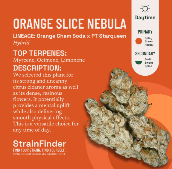 Orange Slice Nebula | Flower | 3.5g