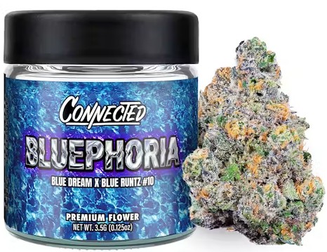 Bluephoria [H] - Flower