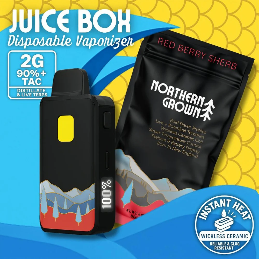 Red Berry Sherb | Juice Box Disposable Vape | 2 Gram