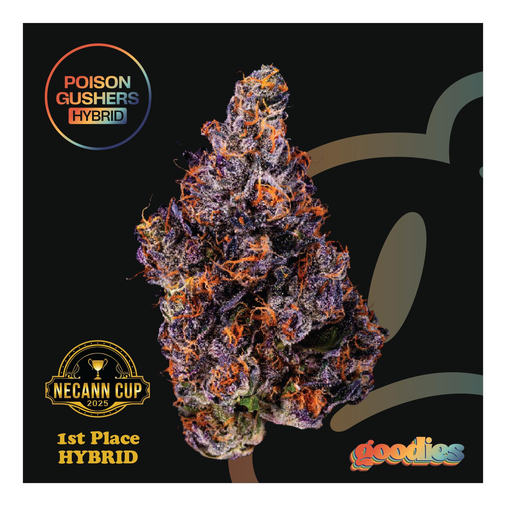 goodies | Poison Gushers 7g