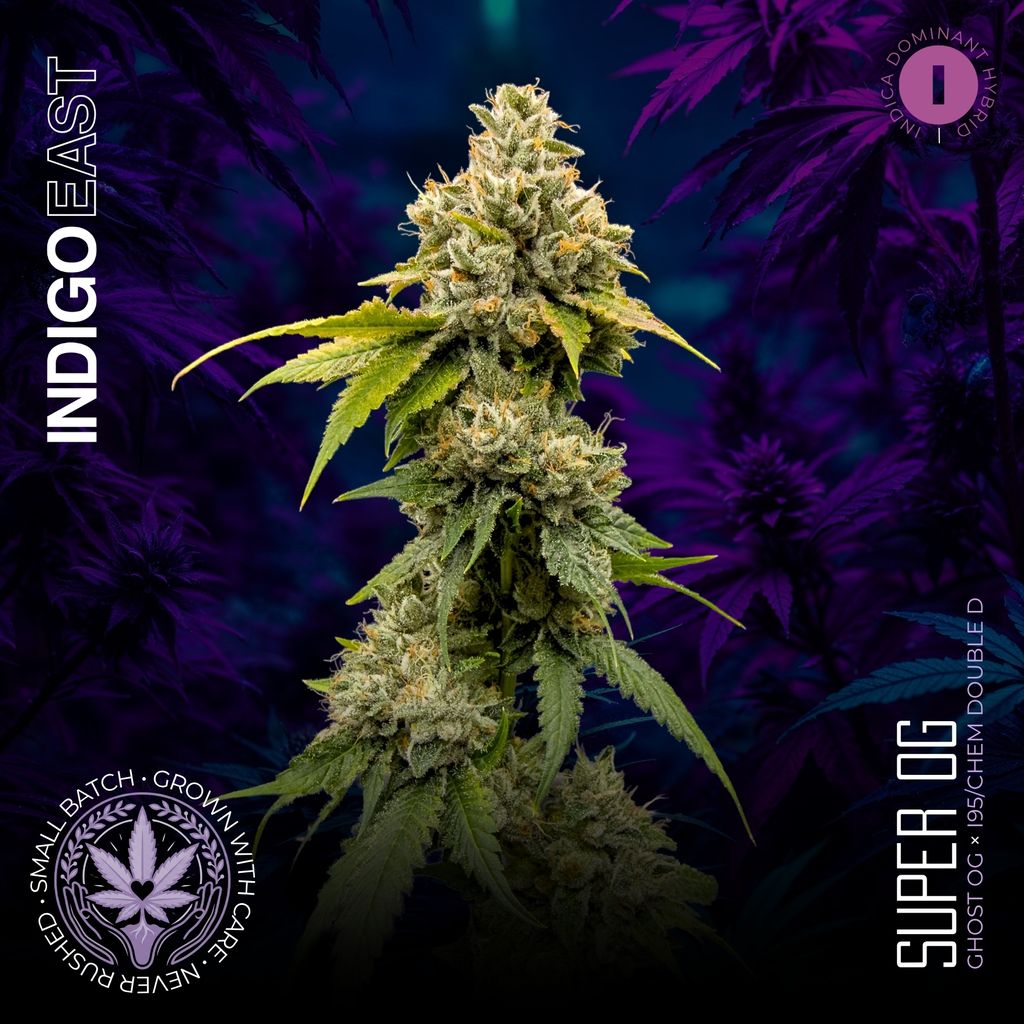 Super OG | Indigo East | Flower