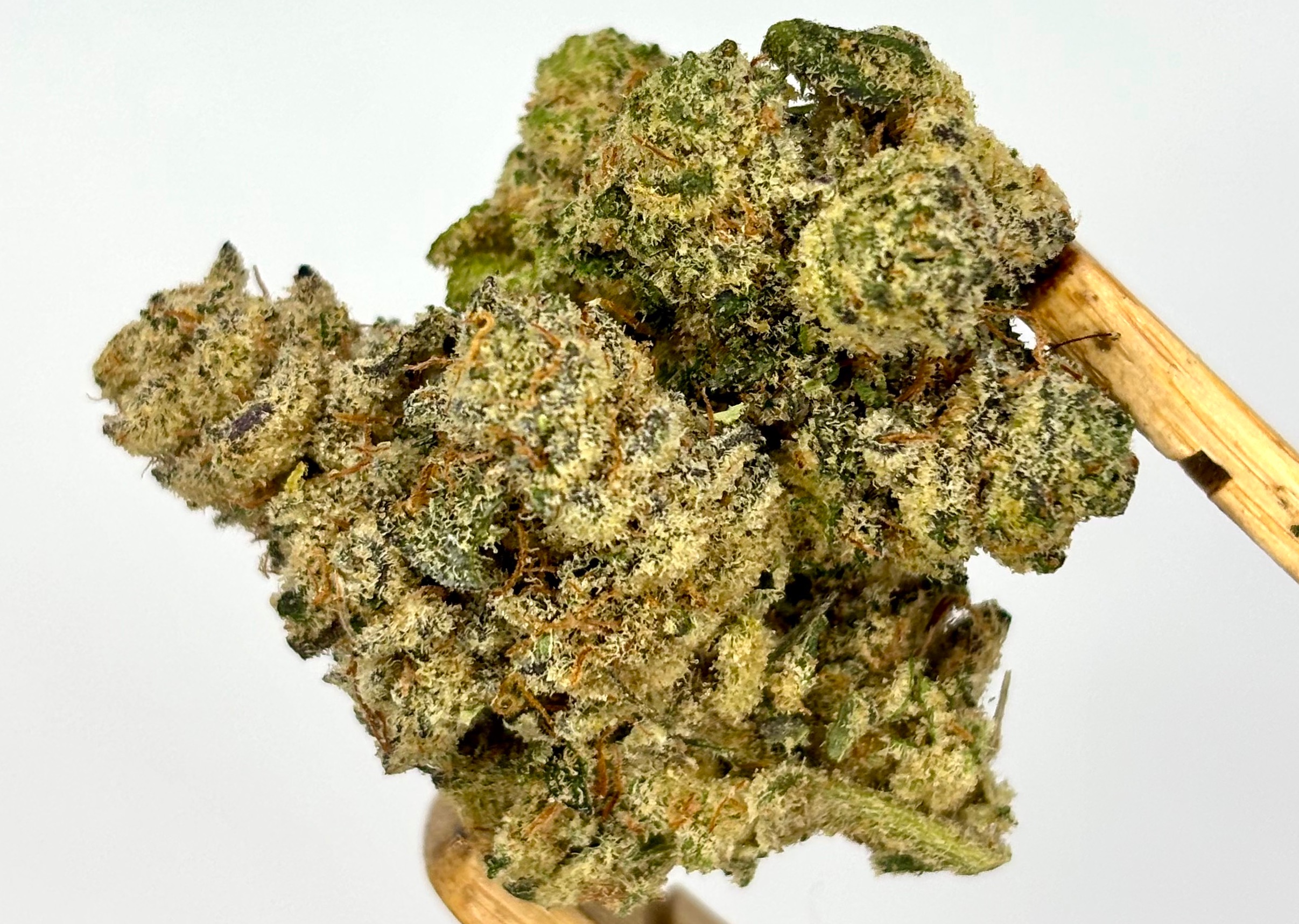 Glorious Cannabis | Ice Bath | Bulk Flower | Yellow Tier