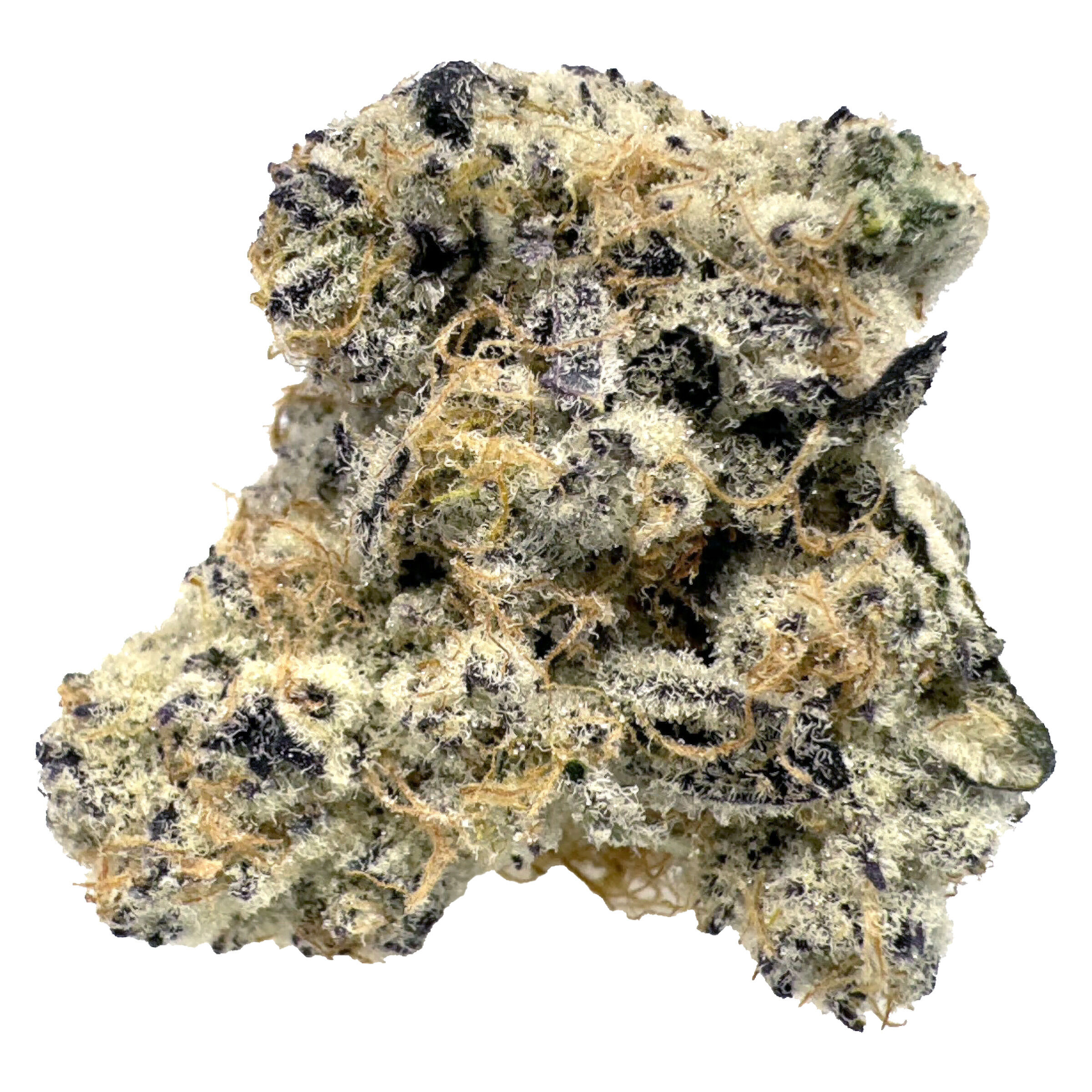 BLK MKT - Exclusives Drop #1 (Hells Kitchen) - Hybrid