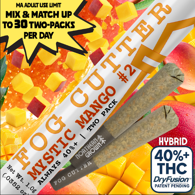 Mystic Mango # 2 | Infused Preroll .5gx2-1g