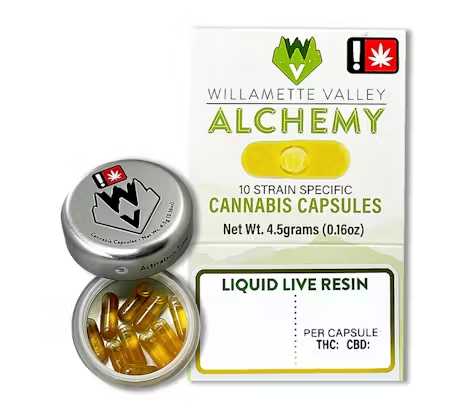 Resin Sour Pineapple