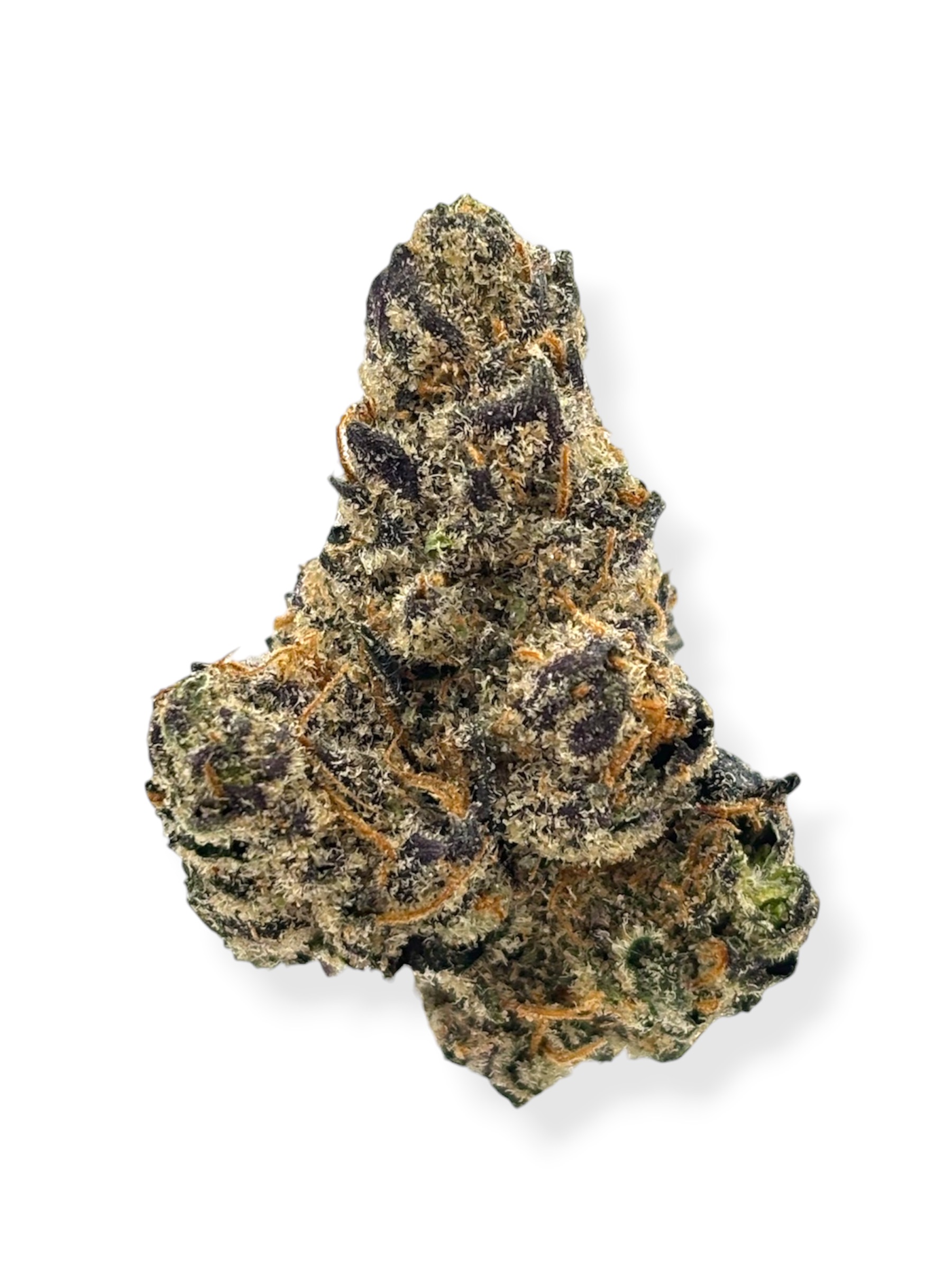 Minntz - Zandy