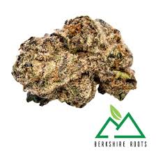 Runtz | 3.5g