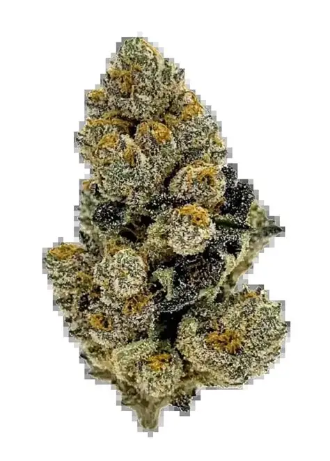 Tropicana Cherry Eighths