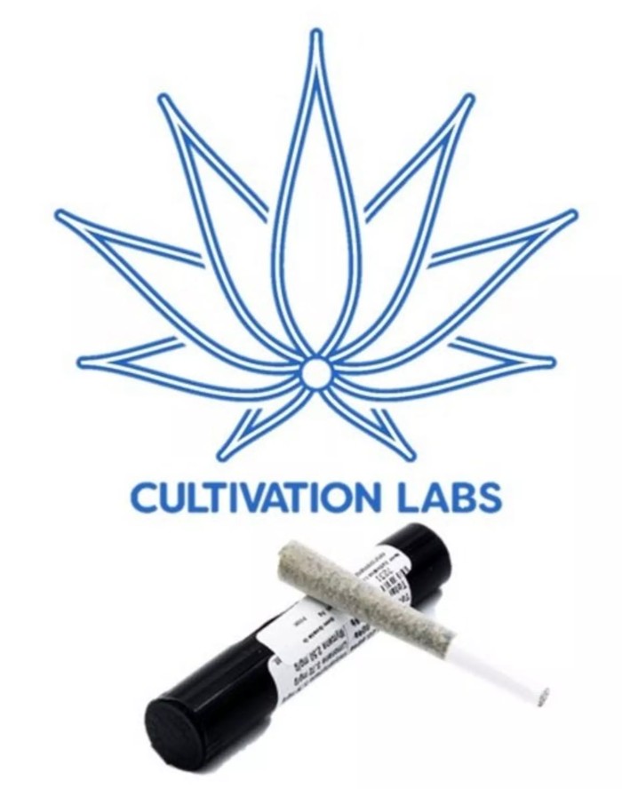 🚨 Cheddar Cheeze Preroll