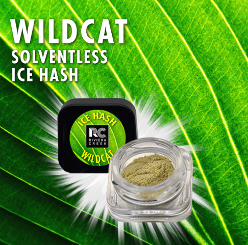 Wild Cat Ice Hash