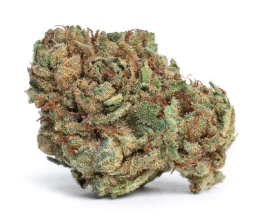 Zips - Bali 440 - 1oz (28g)