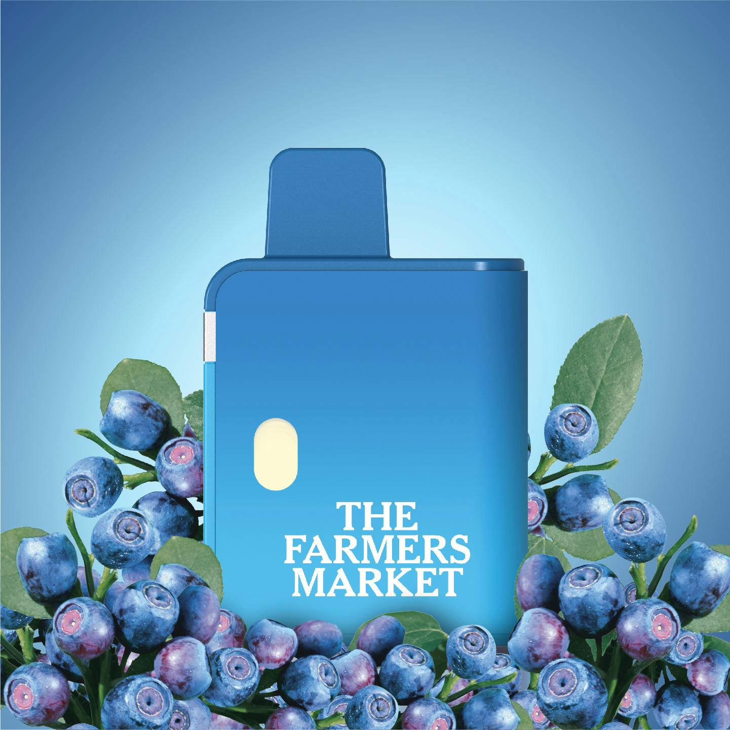 Farmers Market: Blueberry Muffin: Dispo