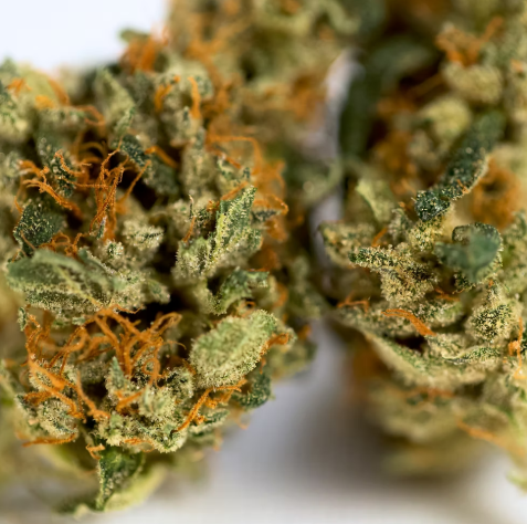 CULTA Dosi Love 3.5g