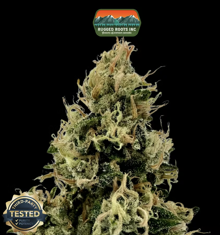 RuggedRoots - Hollywood Hairband - 1g - H