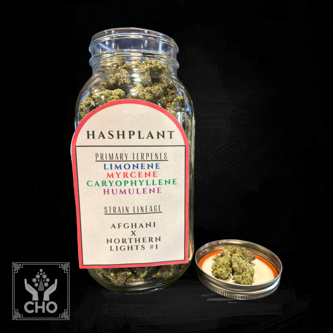 Hashplant