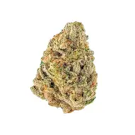 19158 Thcd Super Lemon Haze Buds