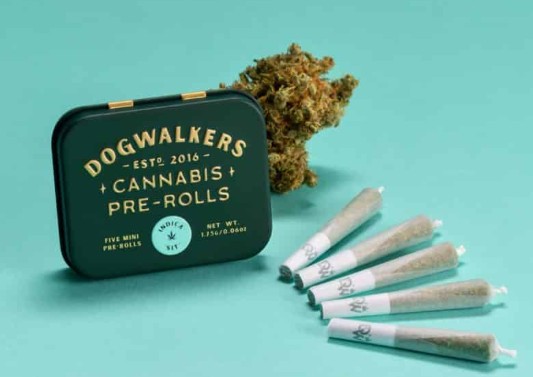 Preroll 5pk - Animal Face (Sit) (I)
