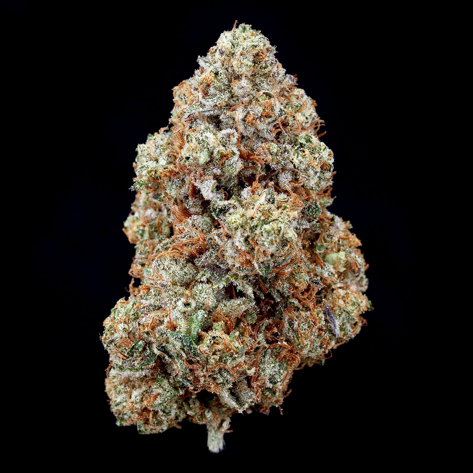 GL Bud | Road Rash