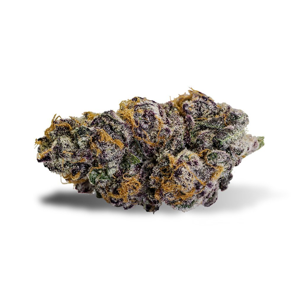 Anthologie Flower - Purple Punch
